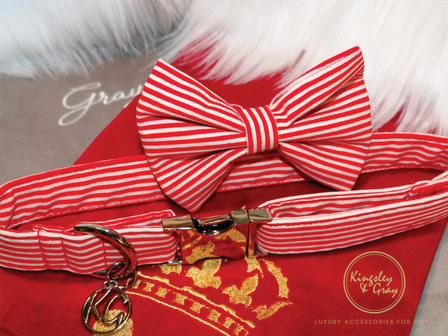 ELFIE DOG COLLAR