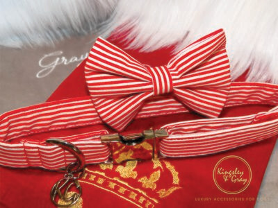 ELFIE DOG COLLAR
