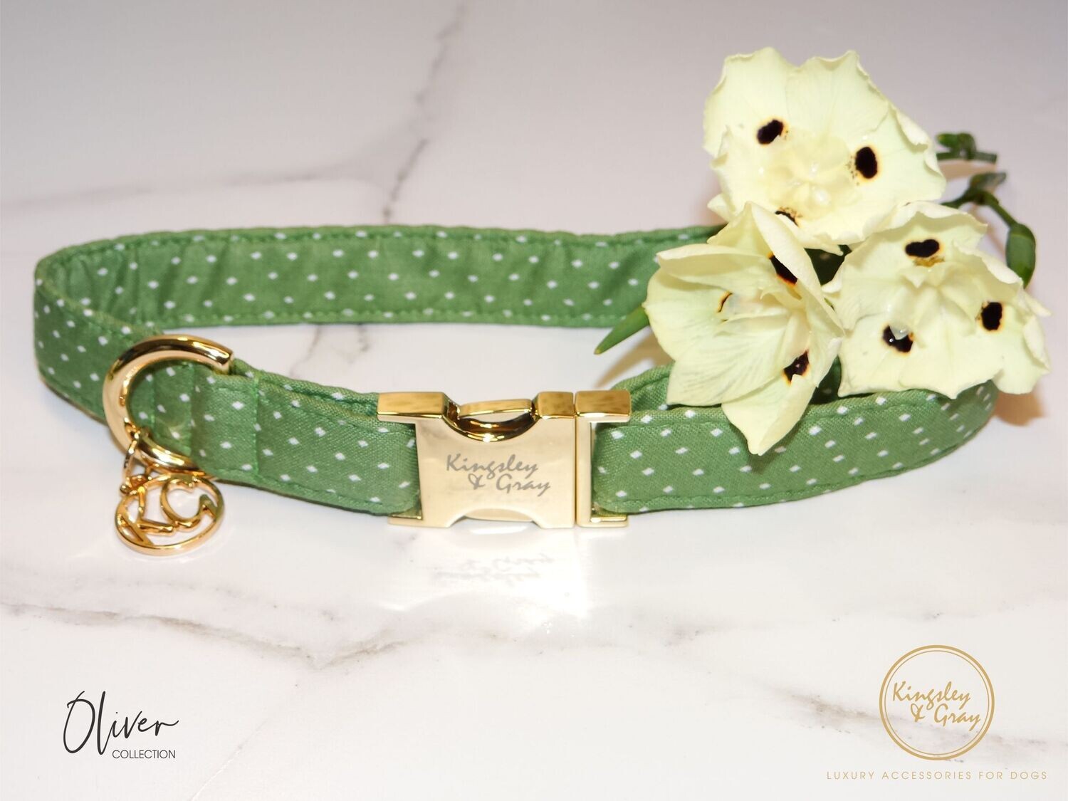 OLIVER DOG COLLAR