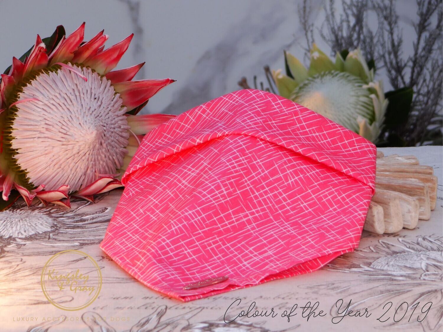 LIVING CORAL DOG BANDANA LIVING CORAL DOG BANDANA