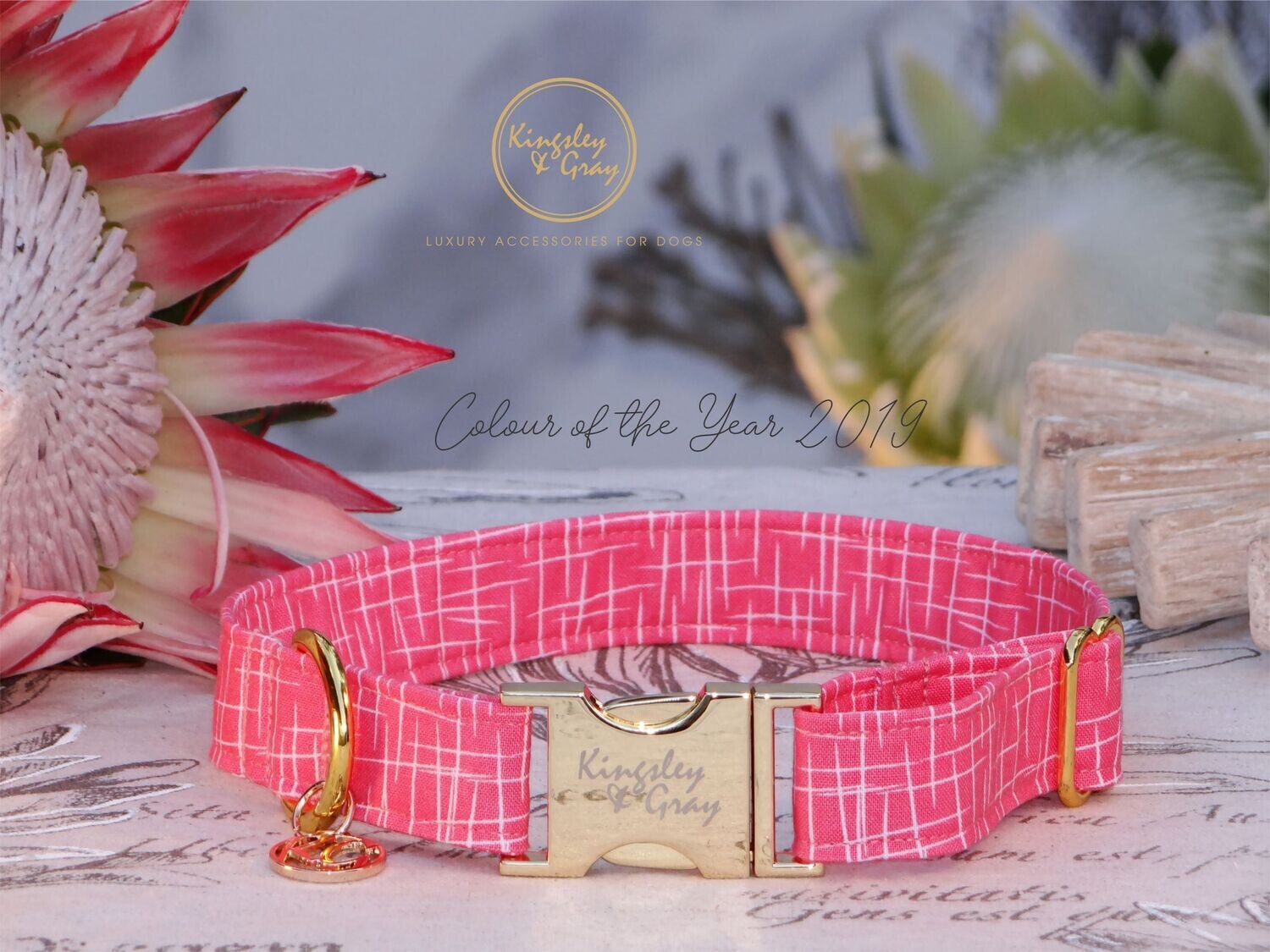 LIVING CORAL DOG COLLAR