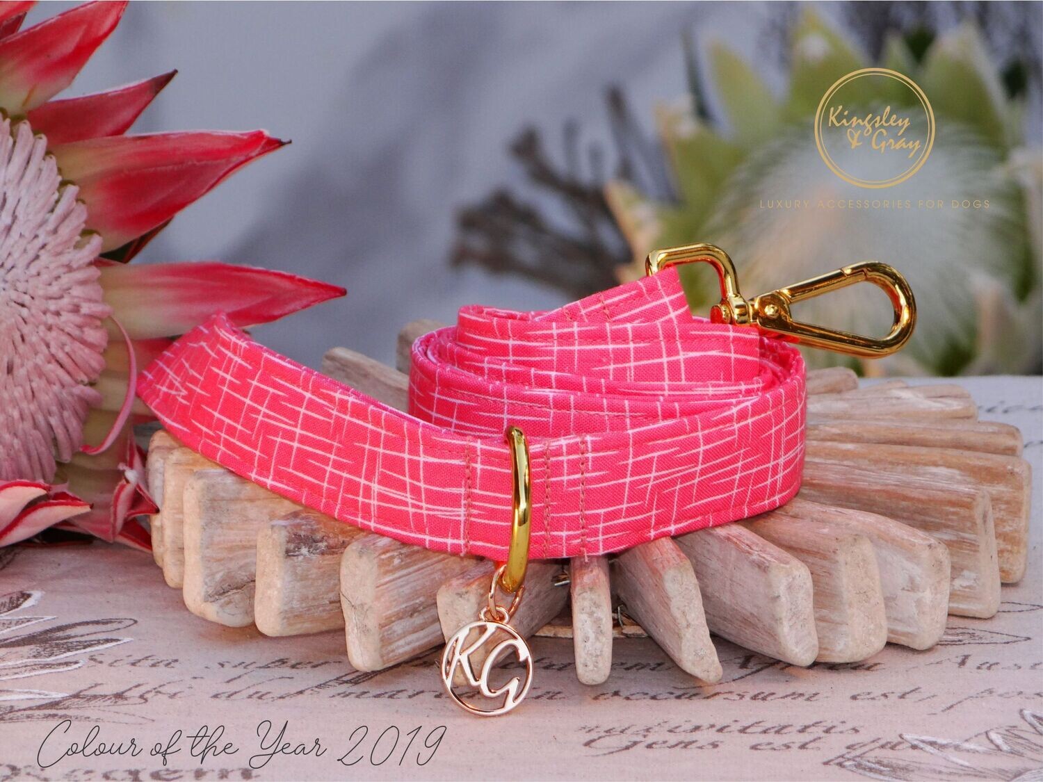 LIVING CORAL DOG LEAD LIVING CORAL DOG LEAD