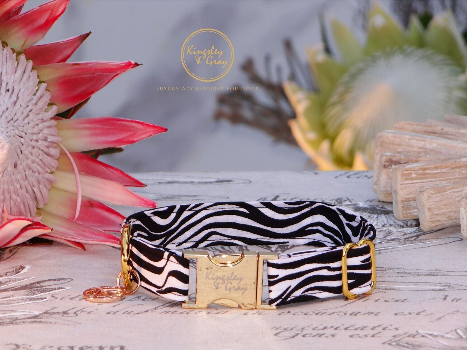 ZEBRA STRIPE DOG COLLAR