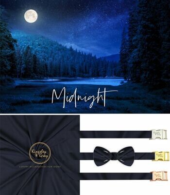 MIDNIGHT DOG LEAD