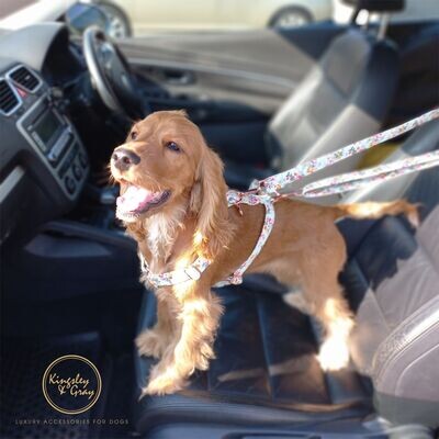 CAR SAFETY STRAP FOR DOGS