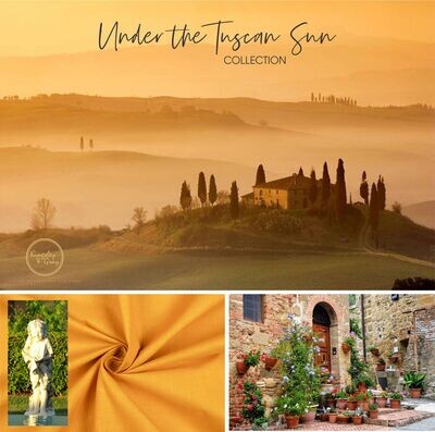 TUSCAN SUN DOG COLLAR TUSCAN SUN DOG COLLAR