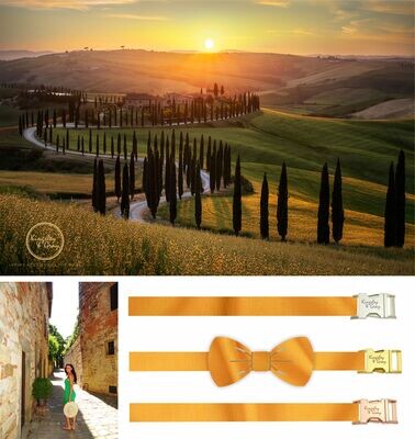 TUSCAN SUN DOG BOW TIE TUSCAN SUN DOG BOW TIE