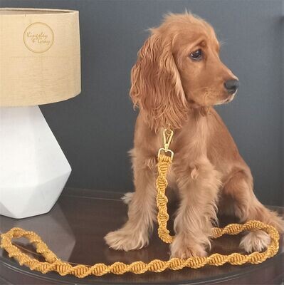 MACRAME DOG LEAD (TWIST) MACRAME DOG LEAD (TWIST)