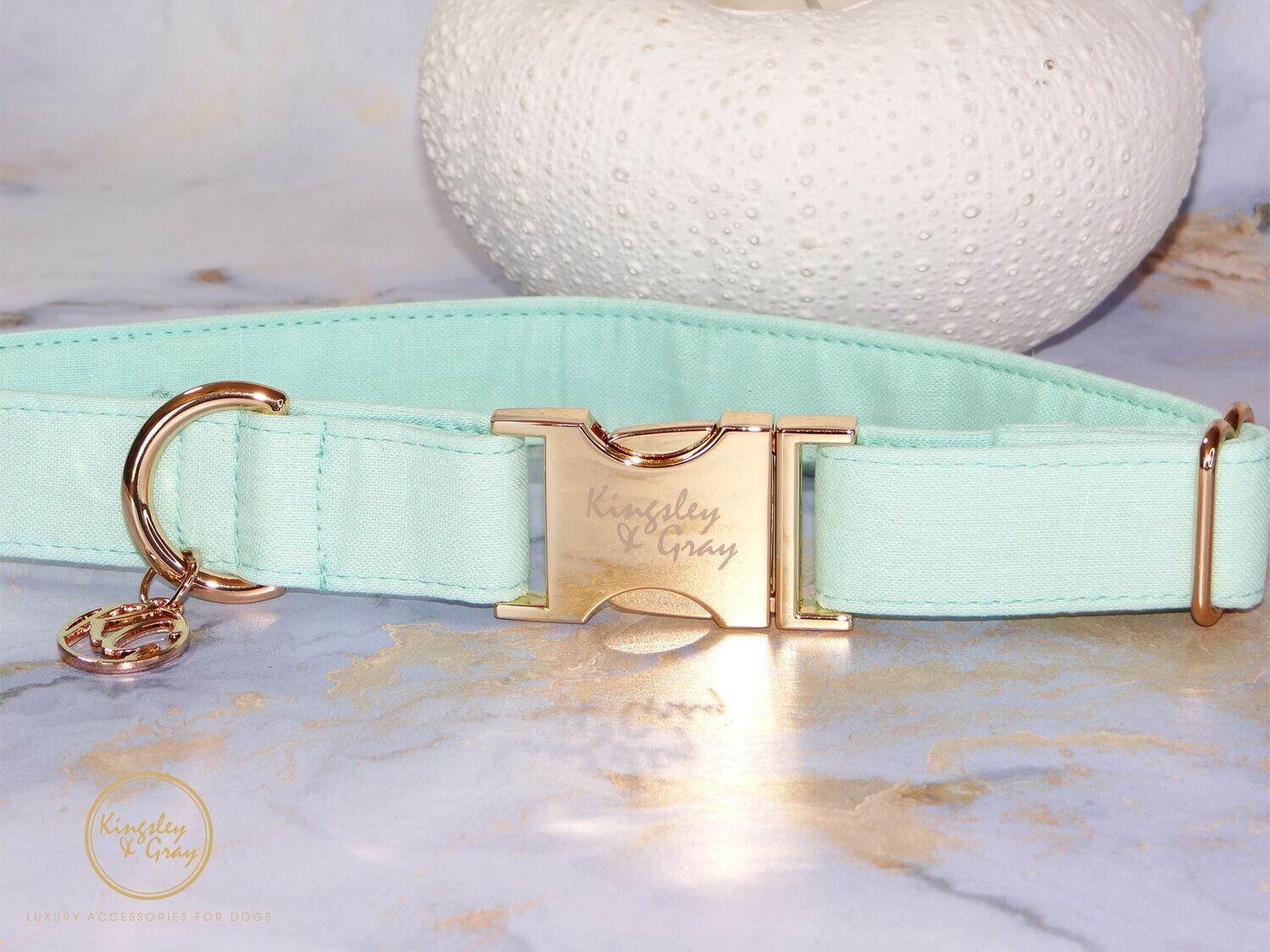AQUARIUS DOG COLLAR