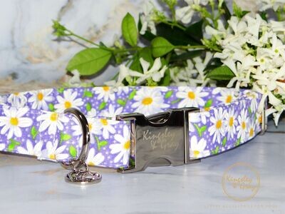 MISS DAISY DOG COLLAR