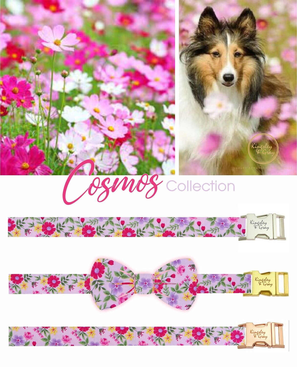 COSMOS DOG BOW TIE COSMOS DOG BOW TIE