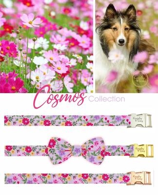 COSMOS DOG BOW TIE