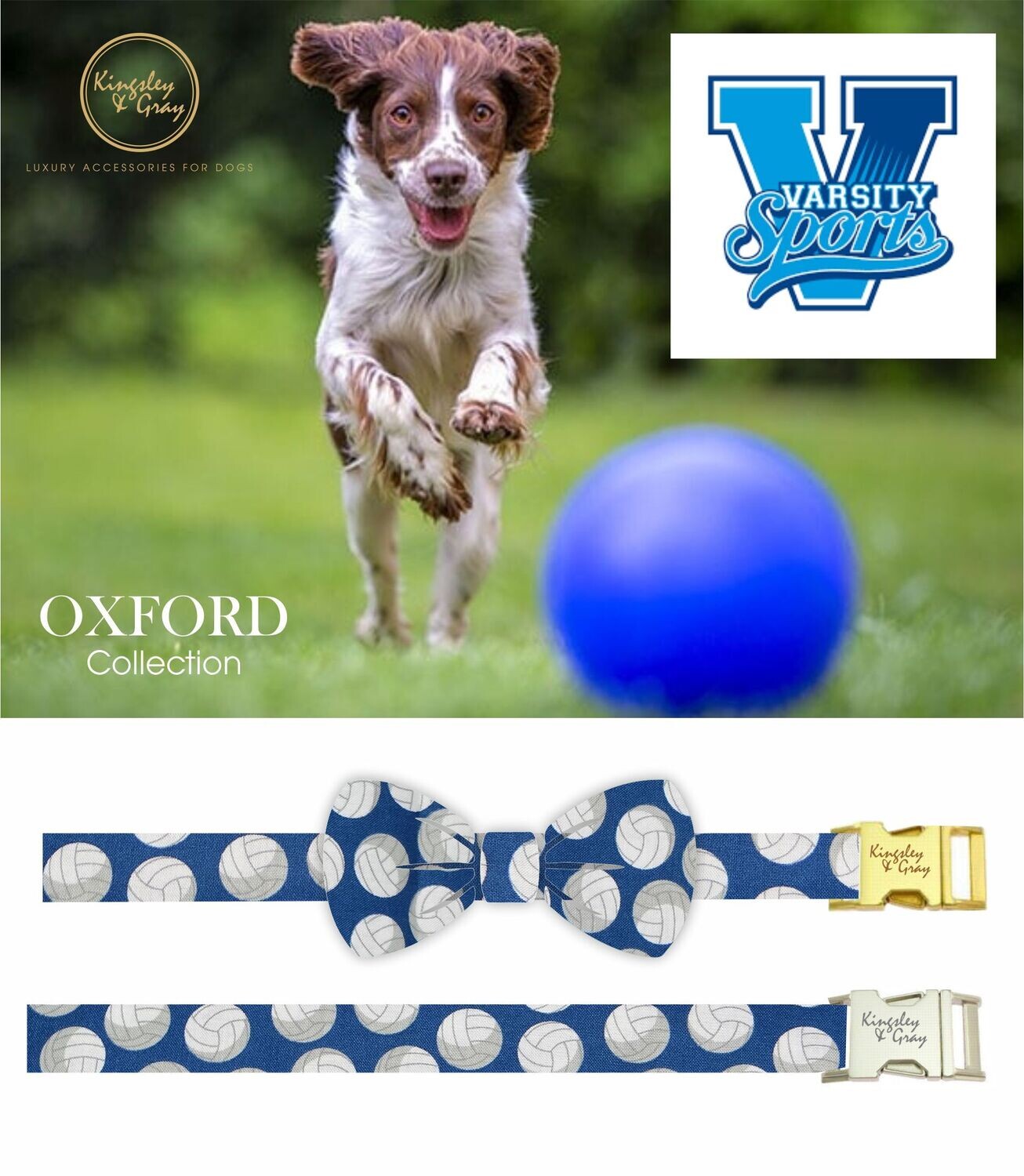 OXFORD DOG BOW TIE OXFORD DOG BOW TIE