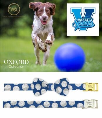 OXFORD DOG BOW TIE OXFORD DOG BOW TIE