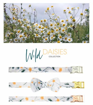 WILD DAISIES DOG BOW TIE WILD DAISIES DOG BOW TIE