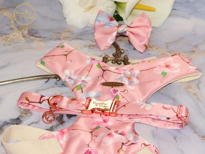 DUKE &amp; DUTCHESS COLLECTION Set 3