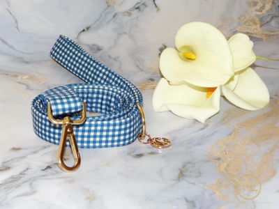 AZURE DOG LEAD