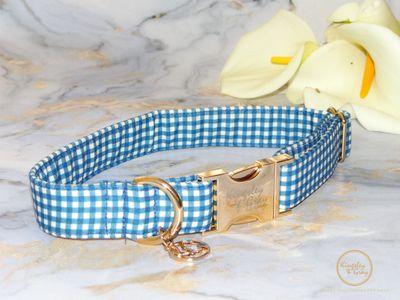 AZURE DOG COLLAR
