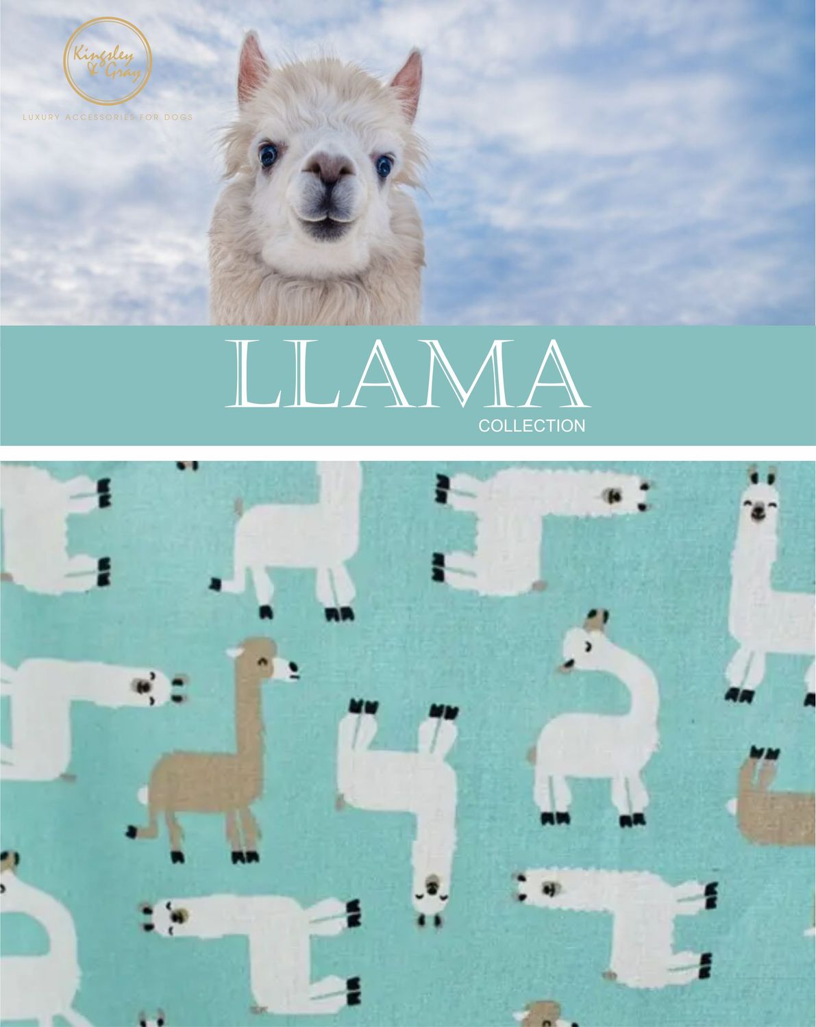 LLAMA DOG BANDANA LLAMA DOG BANDANA