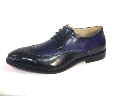 Men Shoe Navy And Blue 