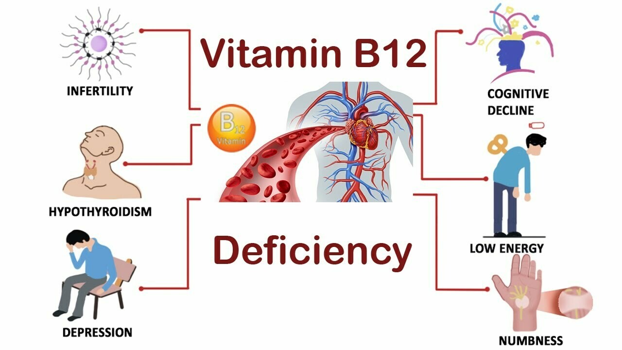 where can i inject b12 Guide to Vitamin B12 Injection Sites where can i inject b12 Guide to Vitamin B12 Injection Sites