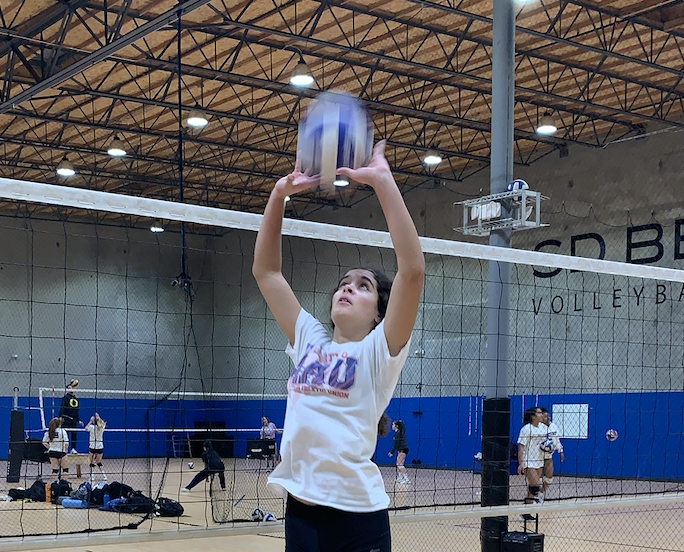 SETTERS CAMP