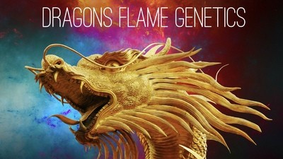 Dragon's Flame Genetics