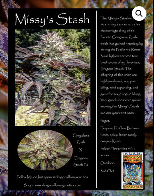 Dragons Flame Genetics Missys Stash Version 2