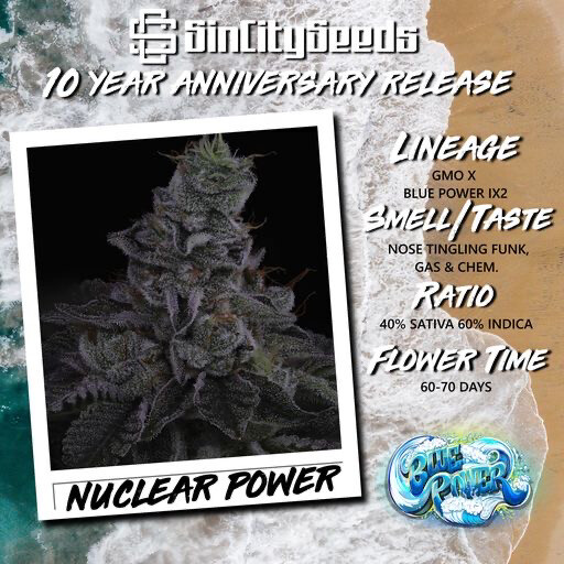 Sin City Seeds Nuclear Power