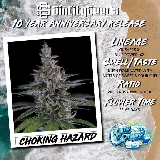 Sin City Seeds Choking Hazard