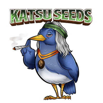 Katsu Seeds Saturday Night Fever