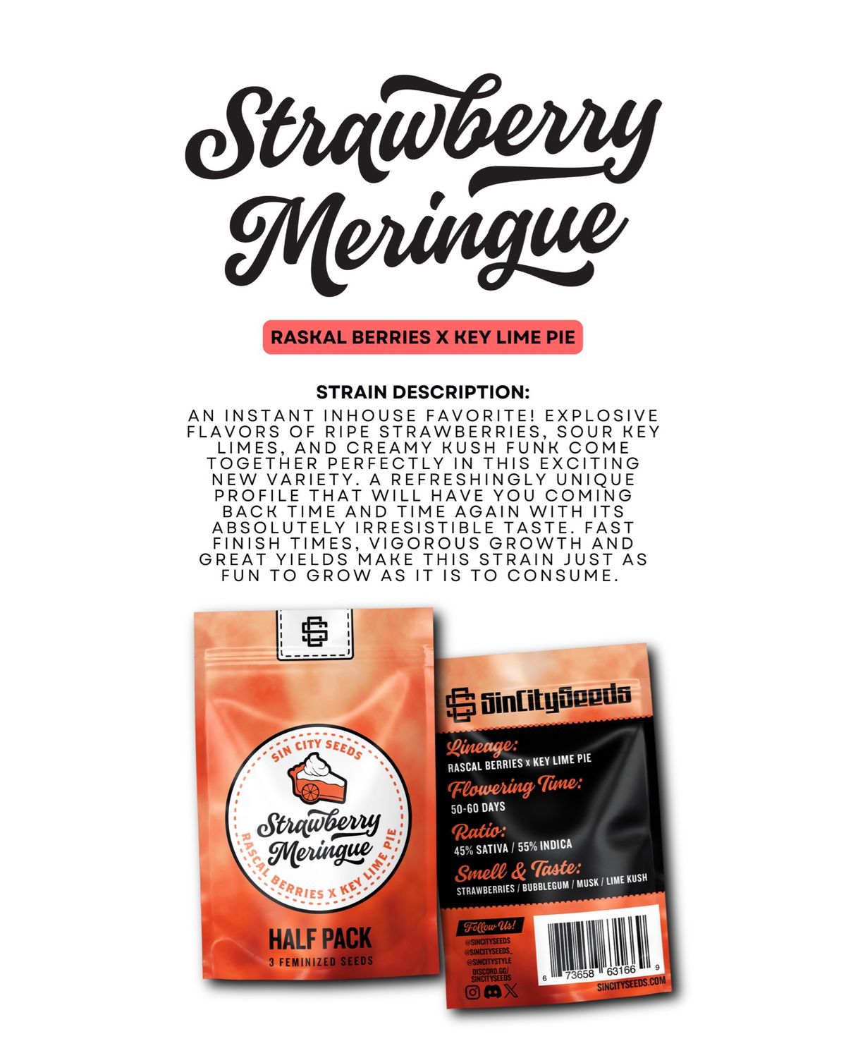 Sin City Seeds Strawberry Meringue 