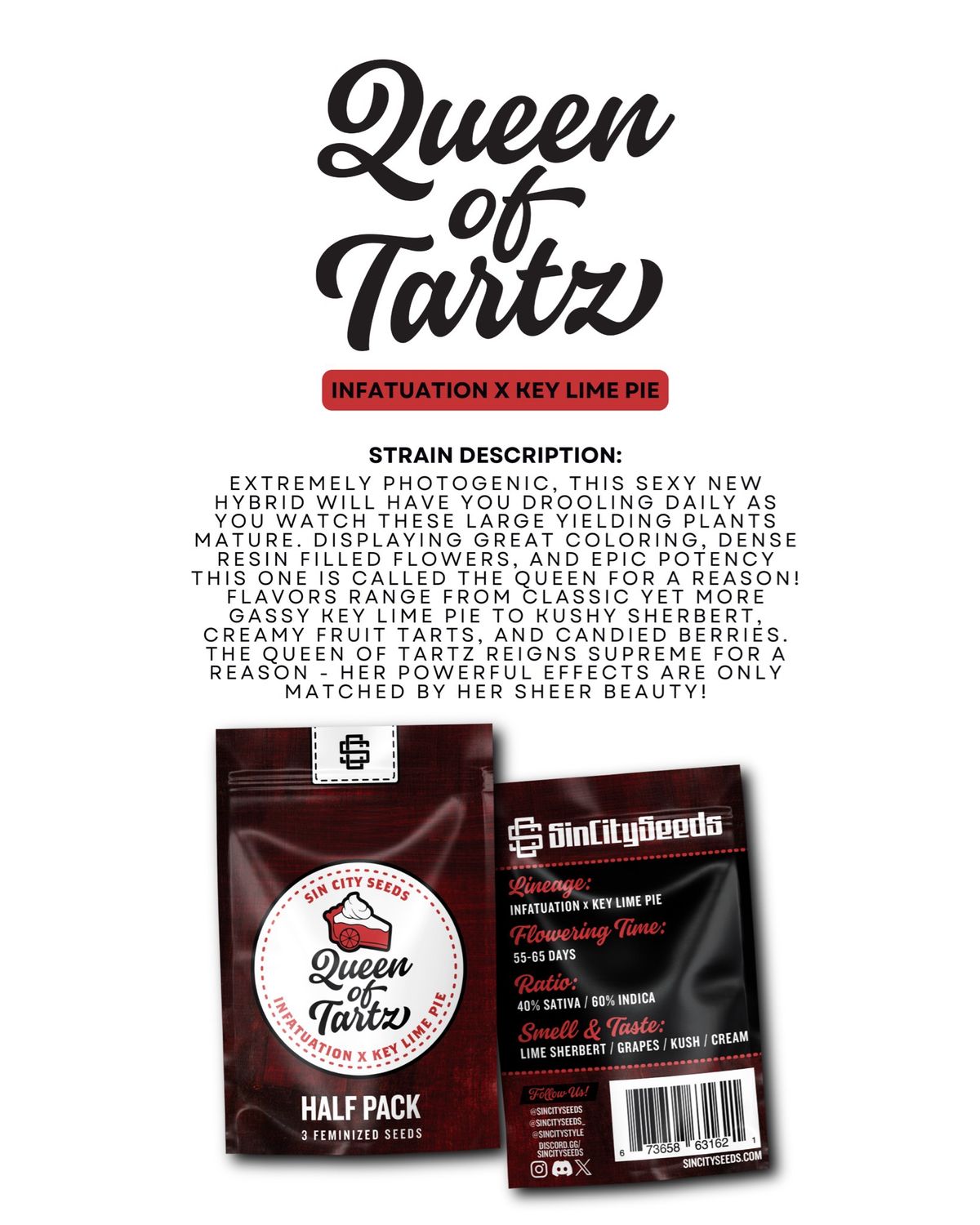 Sin City Seeds Queen of Tarts