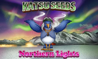 Katsu Seeds Northern Lights F3