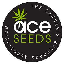 Ace Creeper Gouge Regular Seeds - 10 Seeds