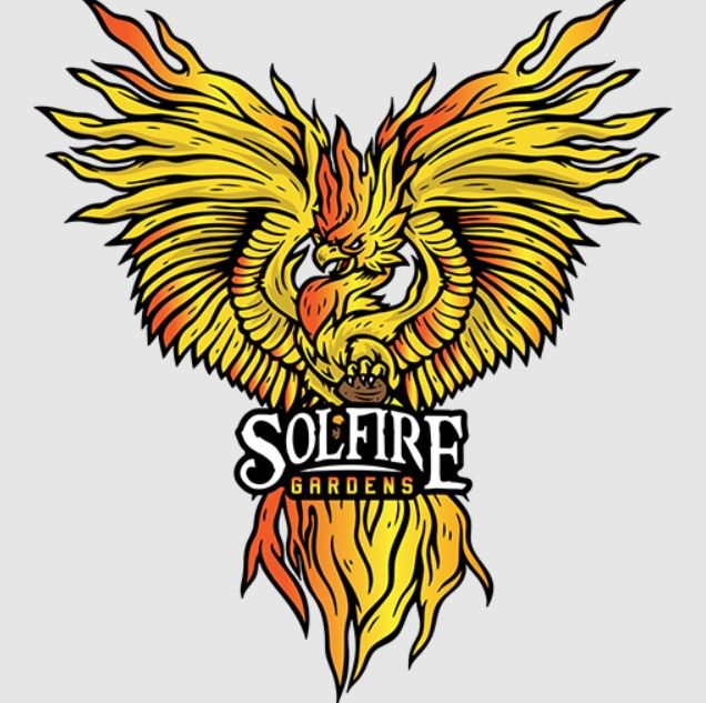 Solfire Gardens  Funk in Da Trunk Feminized Seeds