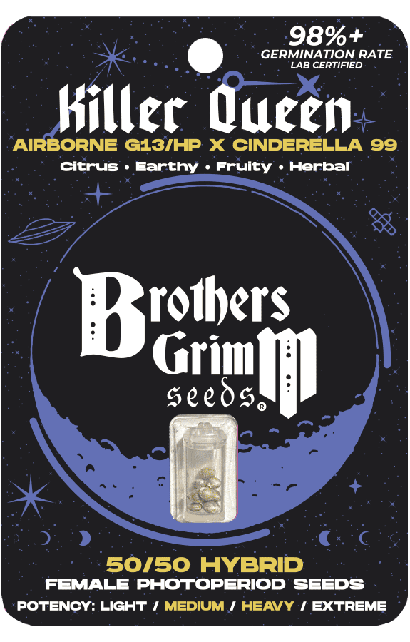 Brothers Grimm Queen Feminised Seeds - 3 Seeds