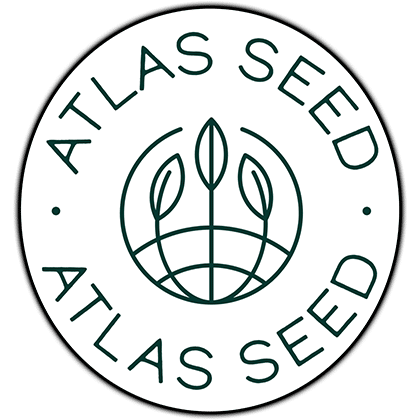 GMO FAST Feminised Seeds - 5