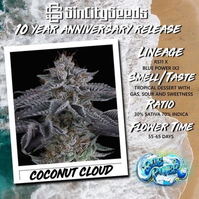Sin City Seeds Coconut Cloud FEMS