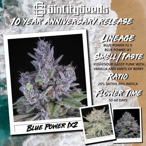 Sin City Seeds Blue Power IX2 FEMS