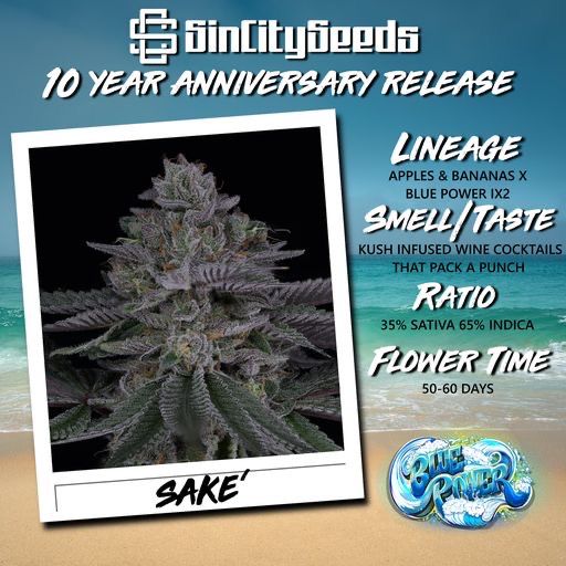 Sin City Seeds Saké FEMS