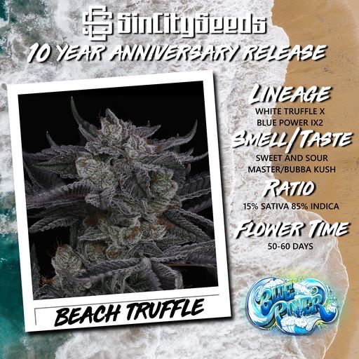 Sin City Seeds Beach Truffle FEMS
