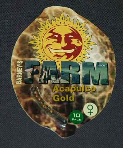 Acapulco Gold Feminised Seeds - 10
