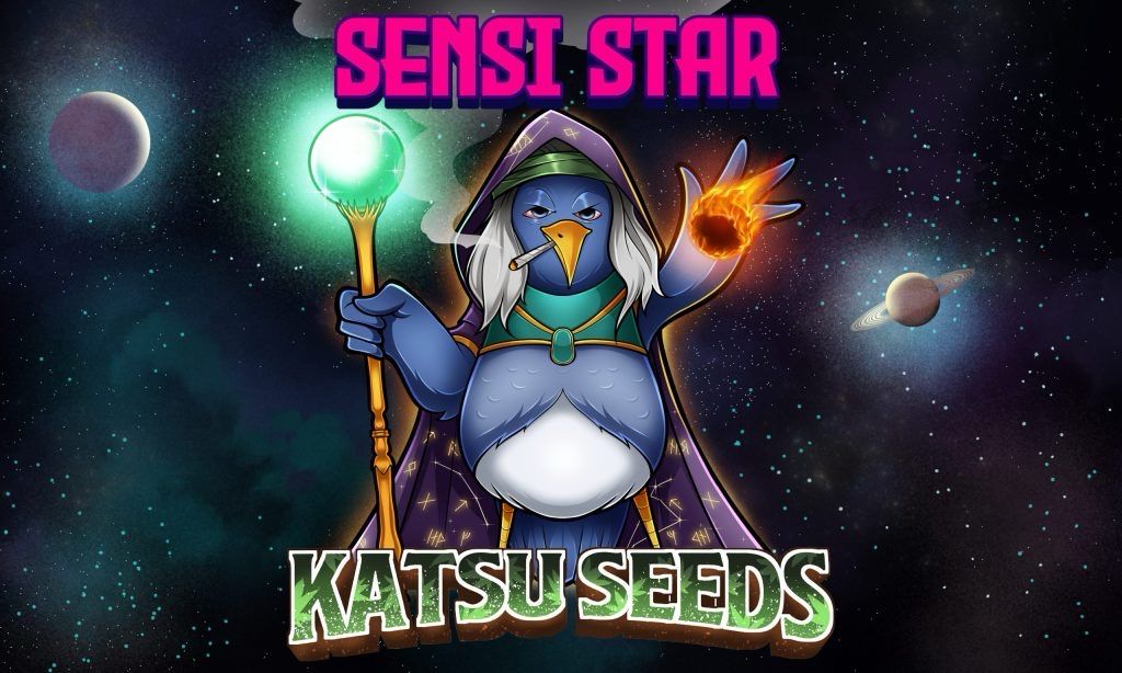 Katsu Seeds Mocha Haze