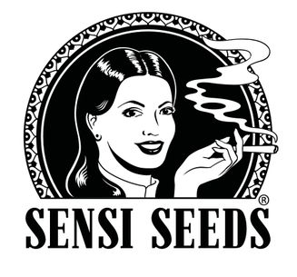 Black Domina Feminised Seeds - 5
