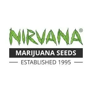 GG-48 Feminised Seeds - 5