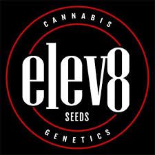 Berry Crusher Feminised Seeds - 6