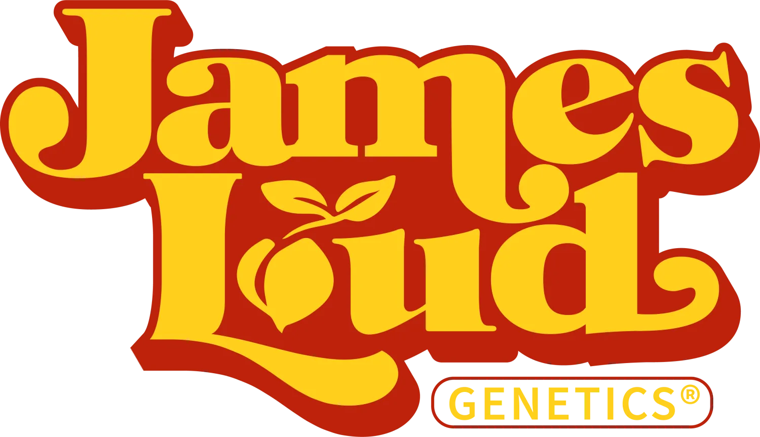 Candy Island Feminized Seeds - 3