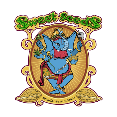 Tropicanna Poison XL Auto Feminised Seeds - 3