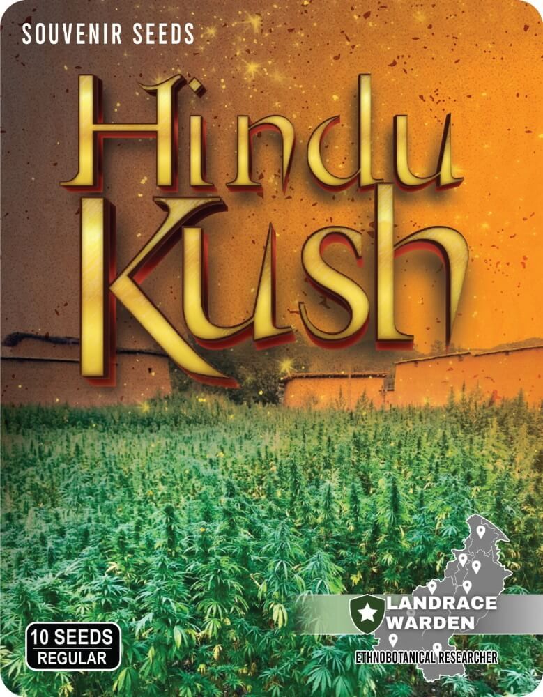 Hindu Kush Regular Seeds - 5